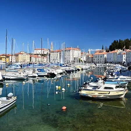 Modern Apartmant In Old